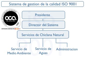Organigrama Sistema de Gesti�n de la calidad ISO 9001