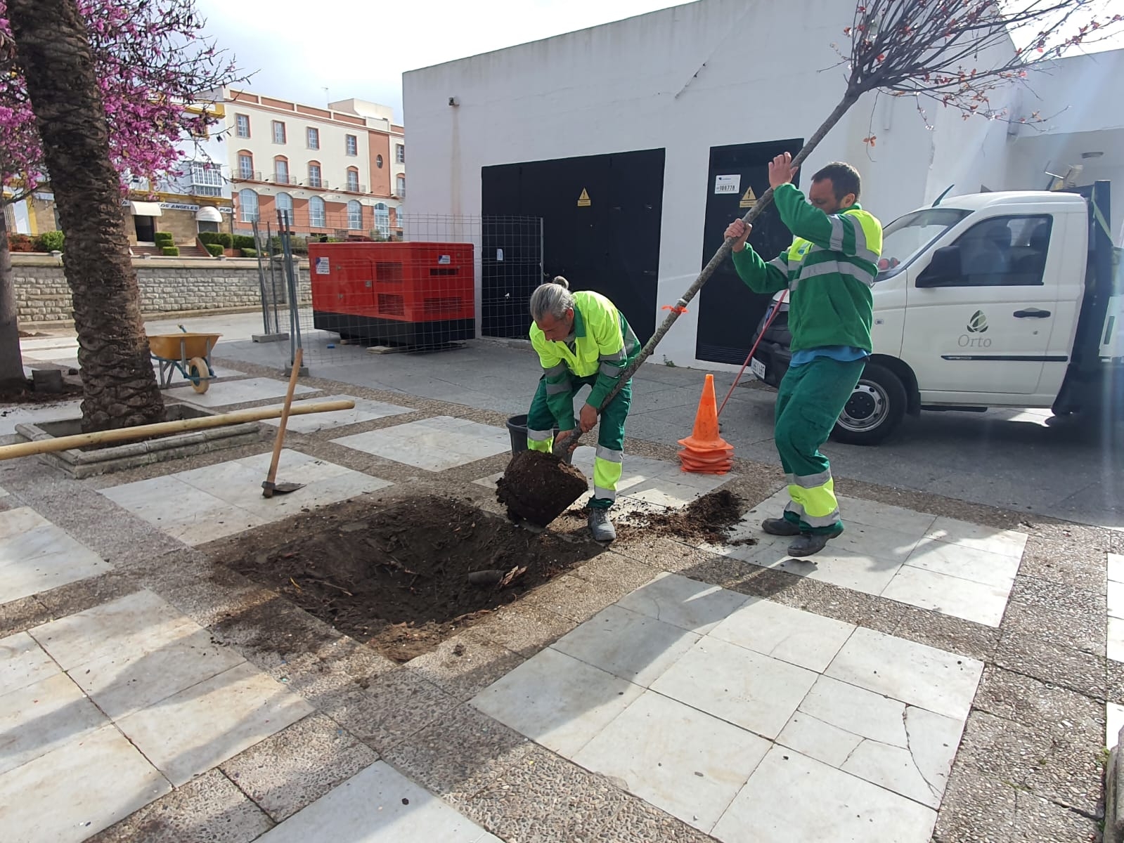 Operarios municipales plantando uno de los árboles de la campaña