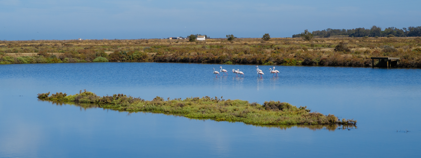 Chiclana Natural