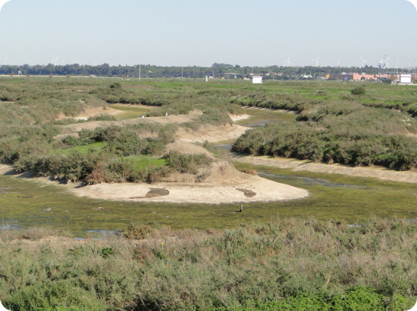 Chiclana Natural