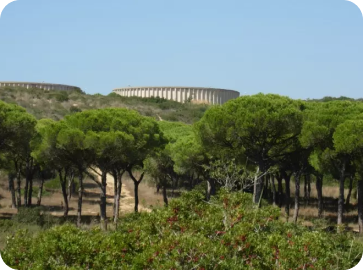 Chiclana natural