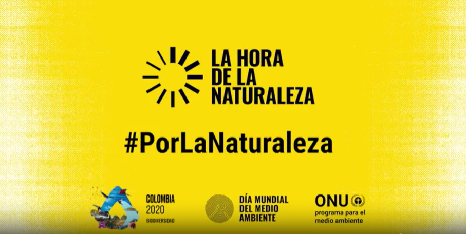 Campaña