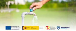 Cómo ahorrar agua en el jardín sin renunciar a cuidarlo